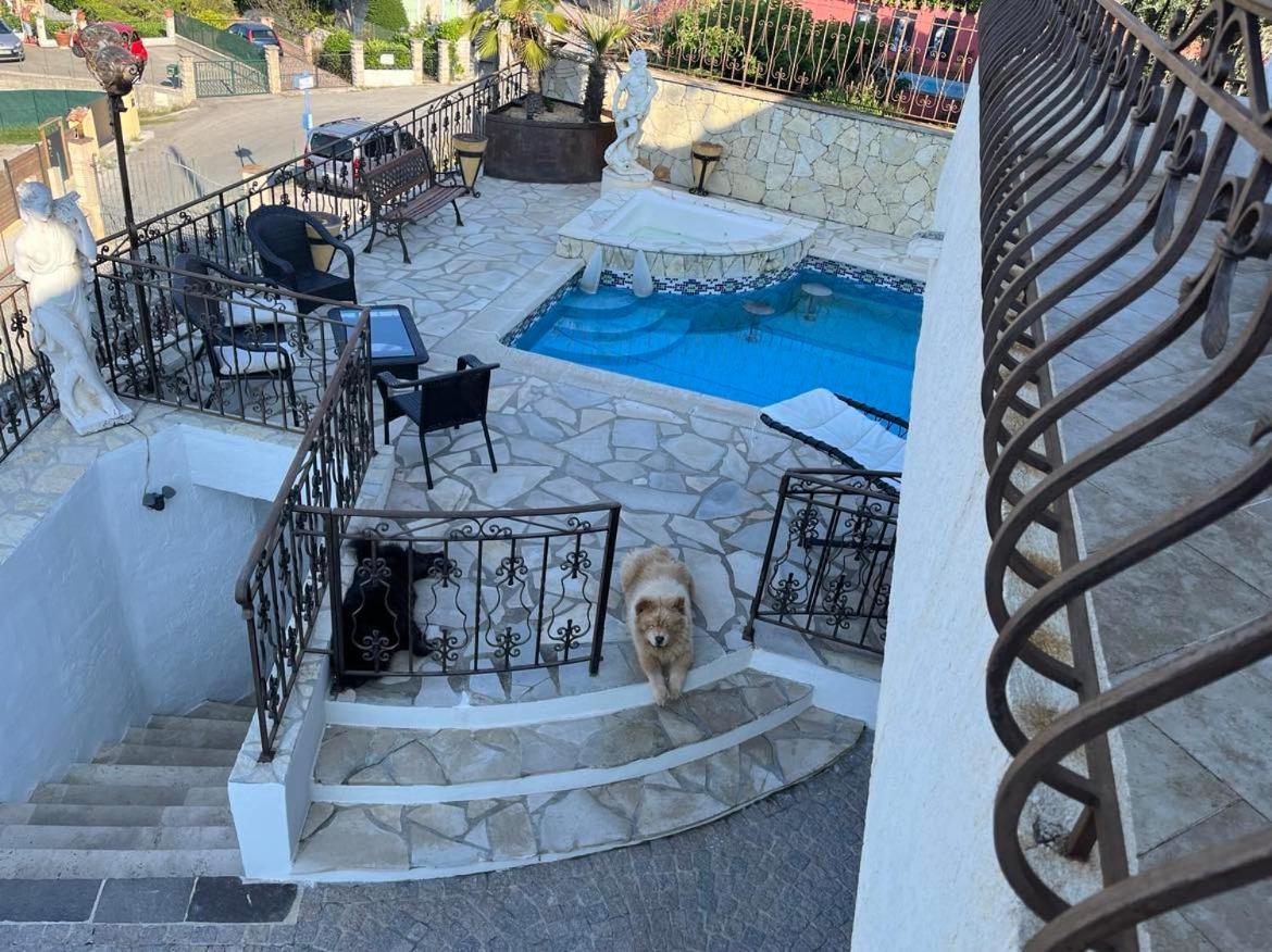 Chambres Chez L'Habitant Villa L'Ile Aux Anges Saint-André エクステリア 写真