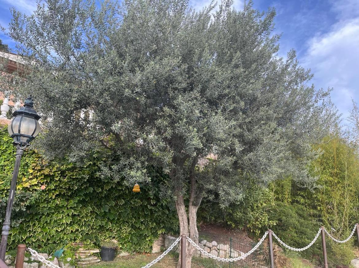 Chambres Chez L'Habitant Villa L'Ile Aux Anges Saint-André エクステリア 写真